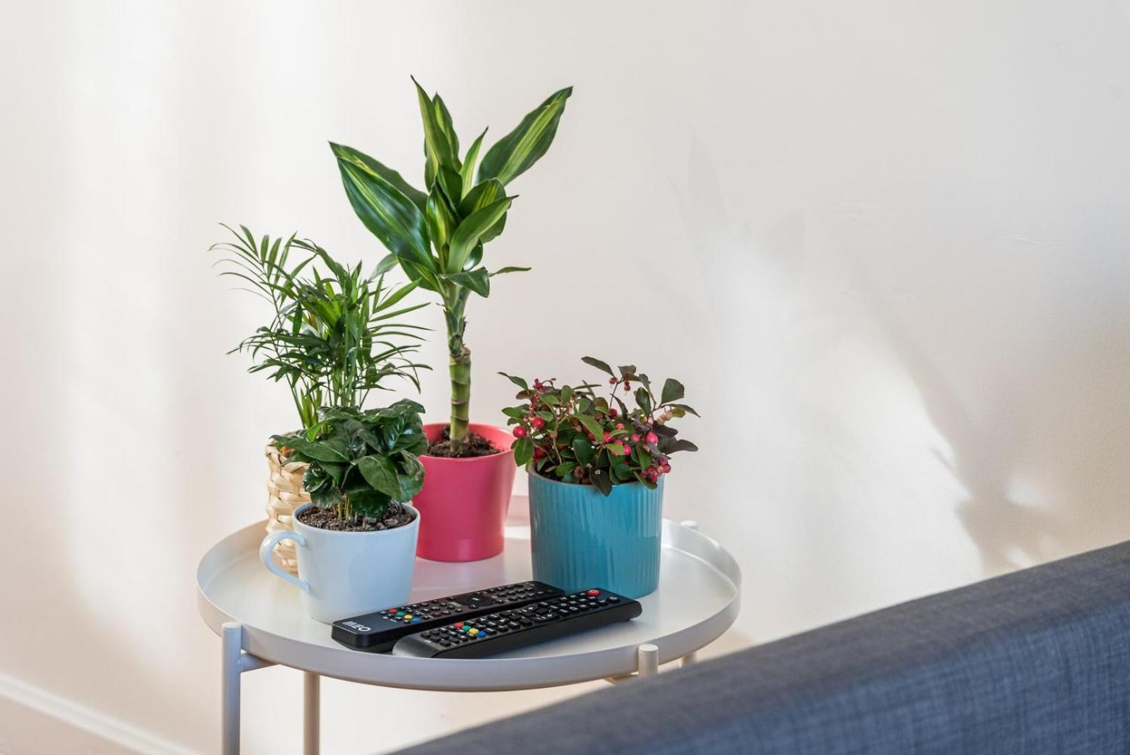 Guestready - Peaches & Cream Apartment Порто Екстериор снимка
